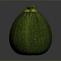 Green Round Zucchini with White Spots and Yellow Stem on Dark Background
