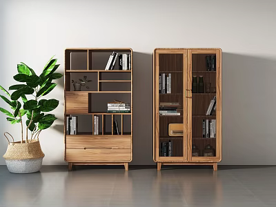 Modern Wooden Bookcases Interior With Open Shelf Cabinet Doors And Indoor Plant 3d model