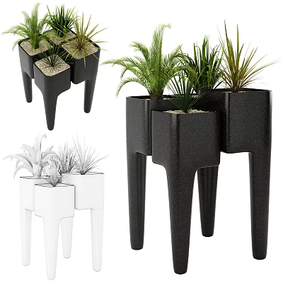 Modern Tall Leg Potted Plants With Black White Planters And Green Foliage 3d model