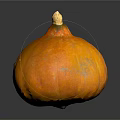Orange Round Pumpkin With Smooth Texture On Black Reflective Background