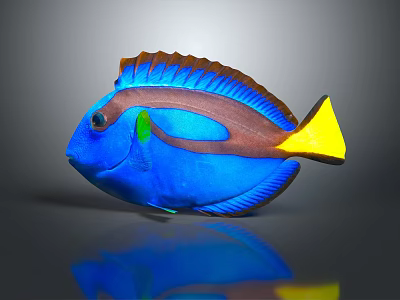 Colorful Tropical Fish With Blue Body Yellow Tail Brown Stripe And Green Accents 3d model