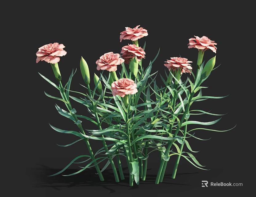 Pink Carnations With Multiple Blooms Green Stems And Leaves On Black Background 3d model 