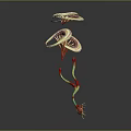 Unique Plant Structures Featuring Red Petals And Green Stems In Different Forms