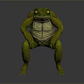Green Reptile Standing In Gray Background With Yellow Eyes And Textured Skin