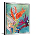 Vibrant Watercolor Botanical Paintings of Strelitzia Flowers in White Frames Hanging on Dark Wall
