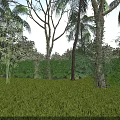 Picturesque Natural Scenery With Lush Green Grass Tall Trees And Blue Sky