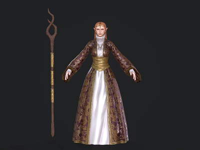 Wizard Character In Ornate Robe Holding Wooden Staff With Golden Accents 3d model