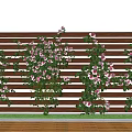 Climbing Pink And White Flowers On Wooden Fence For Garden Decoration
