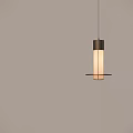 Modern Pendant Light With Metal Frame And Glass Shade Hanging In Gray Room