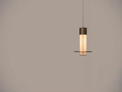 Modern Pendant Light With Metal Frame And Glass Shade Hanging In Gray Room 3d model