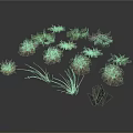 Various Small Plants With Different Colors And Shapes On White Background