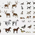 Reptiles Among Various Animals Including Deer Cats Dogs Horses And Birds