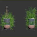Colorful Planters with Green Plants Hanging and Placed on Home Decor Surface