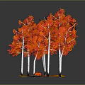 Vibrant Red Leaf Trees With White Trunks On Yellow Ground And Fallen Leaves