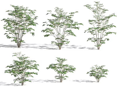 Green Leafy Shrubs In Various Sizes For Outdoor Garden Decoration 3d model
