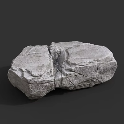 Natural Wood Stone with Rough Surface Intricate Texture and Natural Pattern for Decorative Construction 3d model