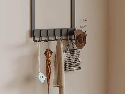 Wall Mounted Hook Rack With Hanging Hat Scarf Bag Camera And Small Plant 3d model