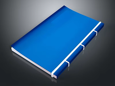 Blue Notebook With White Trim Smooth Cover For Daily Stationery Use 3d model
