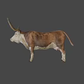 Brown And White Bull With Long Horns Standing On Plain Background 3d model