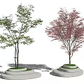 Modern Tree Landscape Tree 3d model