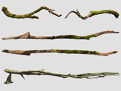 Rustic Stone Wood Branches With Green Moss For Natural Home Decor 3d model