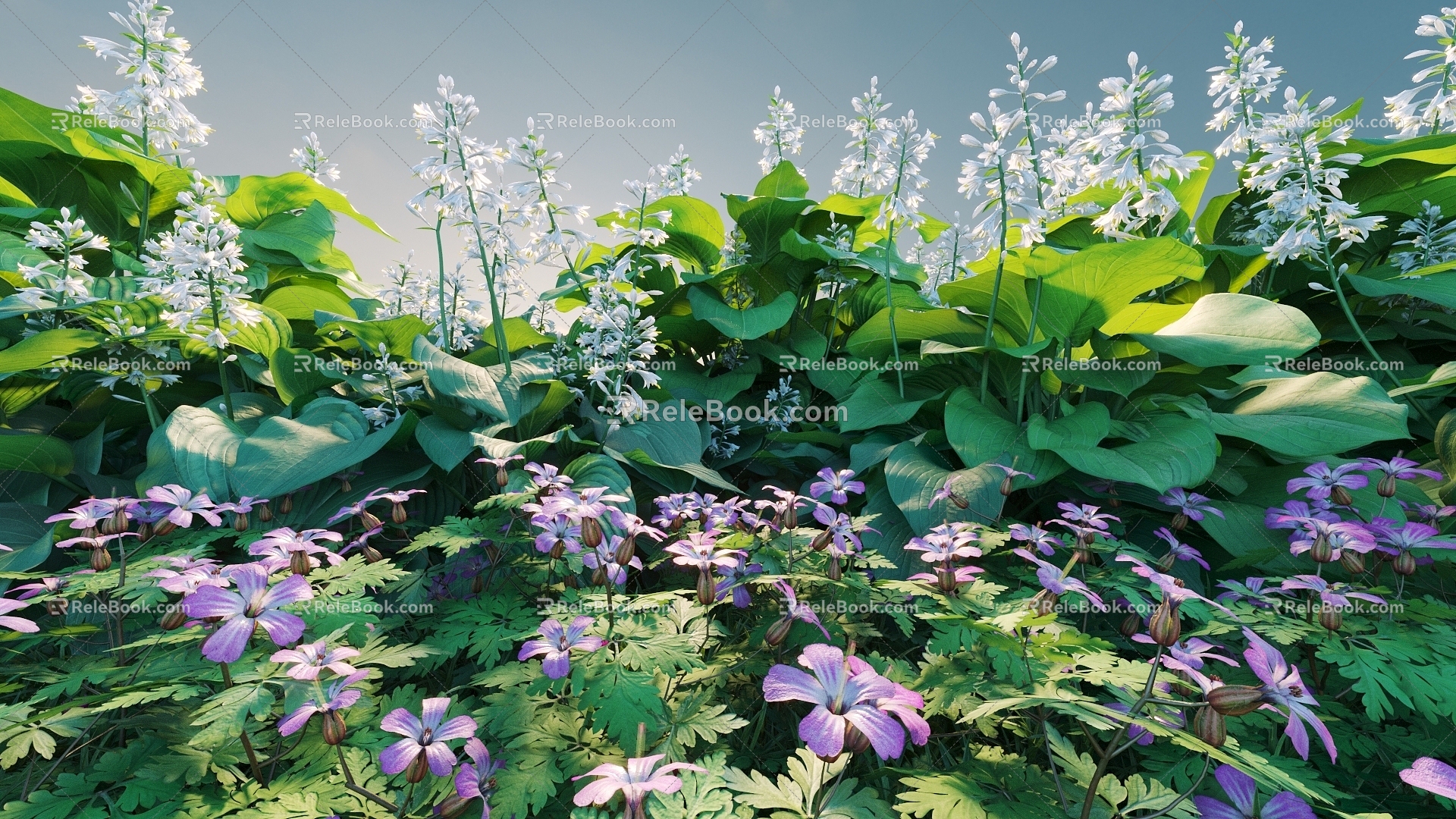 Flowers and Plants Combination Landscape Shrubs Shrubs Plant Combination Natural Landscape 3d model