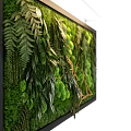 Modern Indoor Living Plant Wall Design With Lush Ferns Moss And Hanging Vines