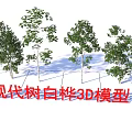 Modern Birch Trees 3D Models Featuring Realistic Design And Detailed Foliage 3d model