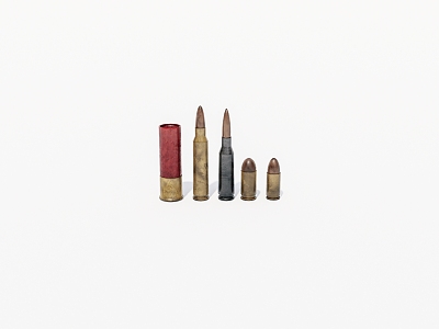 Weapons of various types of ammunition 3d model