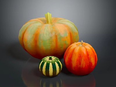 Large Orange Green Striped Small Green White Medium Orange Red Pumpkins On Dark Reflective Surface 3d model