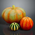 Large Orange Green Striped Small Green White Medium Orange Red Pumpkins On Dark Reflective Surface