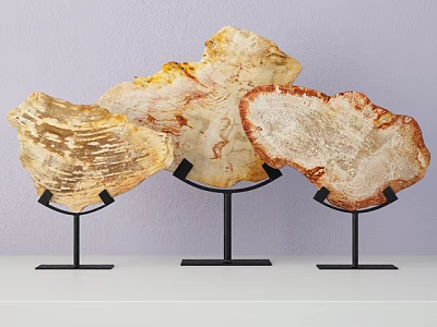 Decorative Ornaments Set Three Natural Agate Slices on Black Metal Stands for White Shelf Decoration 3d model