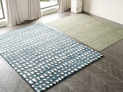 Blue And White Patterned Square Rugs With Light Green Solid Color For Living Room Decor 3d model