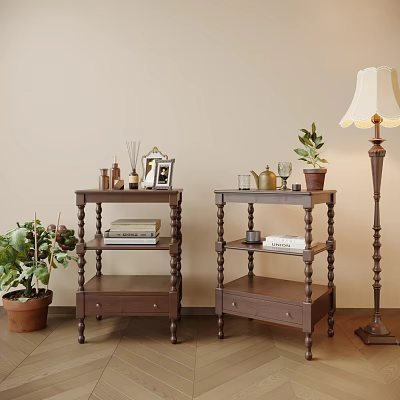 Elegant Wooden Side Tables With Photo Frame Scented Bottles Books And Potted Plant In Living Room 3d model