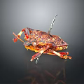 Colorful Spotted Insect With Red Yellow Patterns And Metal Pins Through Body
