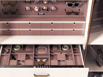 Decorative Cabinet Featuring Multiple Drawers With Divided Compartments For Sunglasses Watches Jewelry And Accessories 3d model