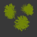 Clumping Ornamental Grass Plants With Natural Shape Soft Shadows On White Background