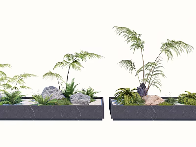 Bonsai Potted Plants With Ferns And Stones In Black Rectangular Containers 3d model