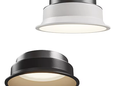 Modern Minimalist Black And White Ceiling Mounted Downlights And Spotlights For Bright Lighting 3d model