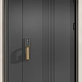 Modern Black Security Doors With Golden Handles And Vertical Stripe Design 3d model