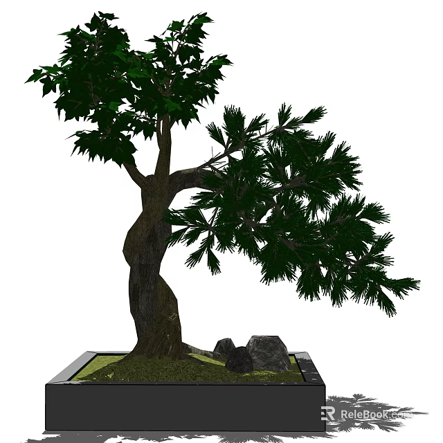 Bonsai Tree With Twisted Trunk Lush Green Leaves In Square Pot With Stones And Moss 3d model 