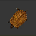 Vibrant Orange Alligator Turtle With Patterned Textured Shell On Gray Background