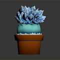 Crystal Like Blue Succulent Plant In Orange Terracotta Pot With White Base