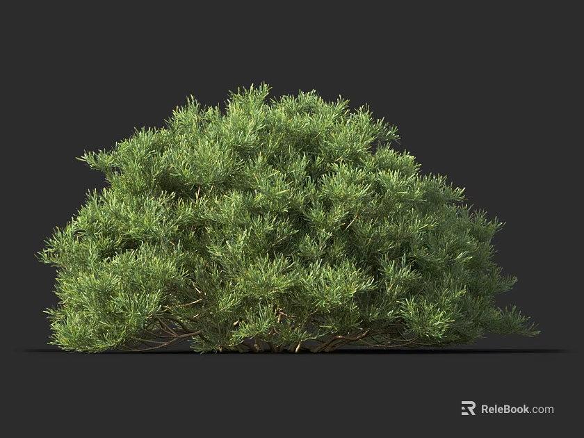 Vibrant Green Shrub With Lush Dense Foliage For Outdoor Garden Landscaping 3d model 