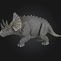 Gray Triceratops Dinosaur Model With Frill Horns On Black Background