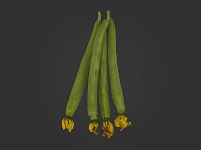 Fresh Long Green Zucchini Vegetables With Yellow Flowers On Dark Background 3d model