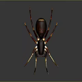 Detailed Reddish Brown Spider Featuring Yellow Striped Legs On Dark Background