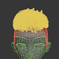White Head Model Featuring Brown Textured Hair And Detailed Facial Organs
