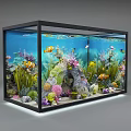 Colorful Fish Aquarium Tank With Clownfish Corals Aquatic Plants And Rock Decorations