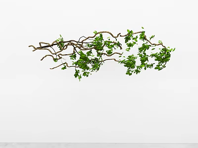 Lush Green Decorative Vine With Hanging Branches And Fresh Leaves On White Wall 3d model